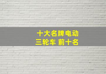 十大名牌电动三轮车 前十名